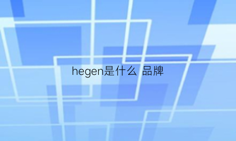 hegen是什么品牌(hagen是什么品牌)